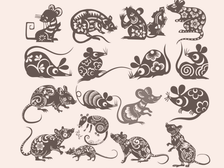 图片