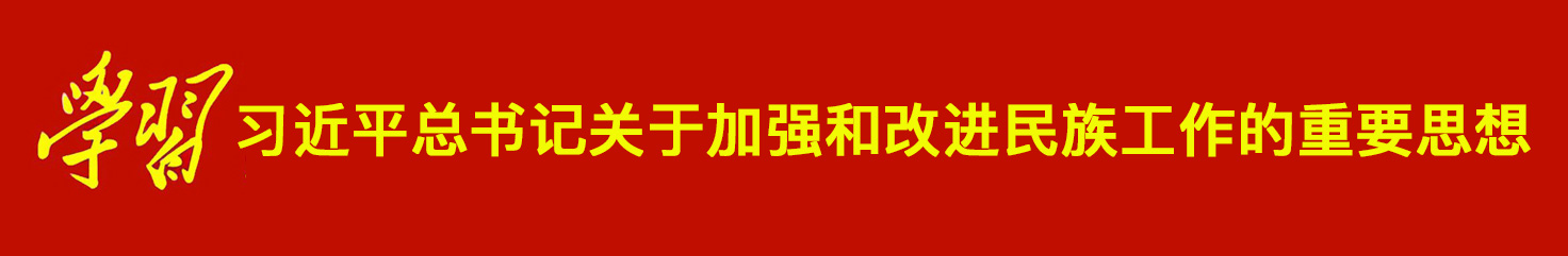 学习习近平总书记关于加强和改进民族工作的重要思想