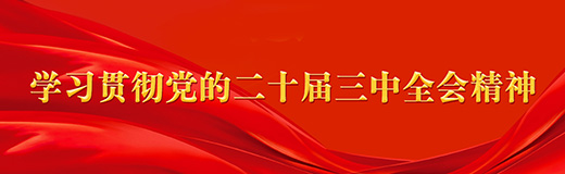 学习贯彻党的二十届三中全会精神