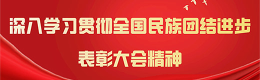 深入学习贯彻全国民族团结进步表彰大会精神