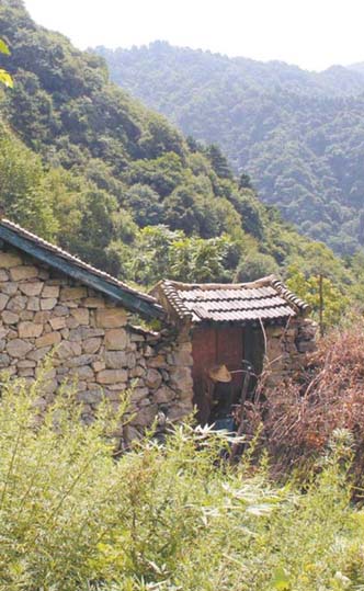 1(369).jpg