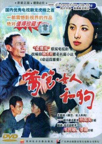 八九十年代热播的电视剧