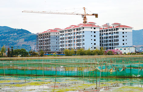 白石镇人口_重庆市黔江区白石镇(2)