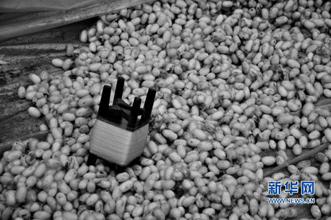 桑值人口_人口普查图片(3)