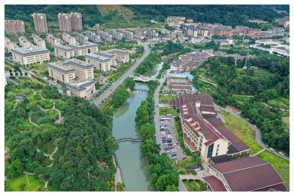 湖北五峰：春茶开园正当时 OB电竞APP喜煞“茶叶人”(图4)