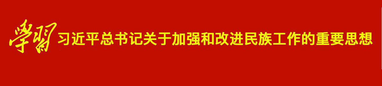 学习 习近平总书记关于加强和改进民族工作的重要思想