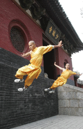 少林功夫的保护和振兴
